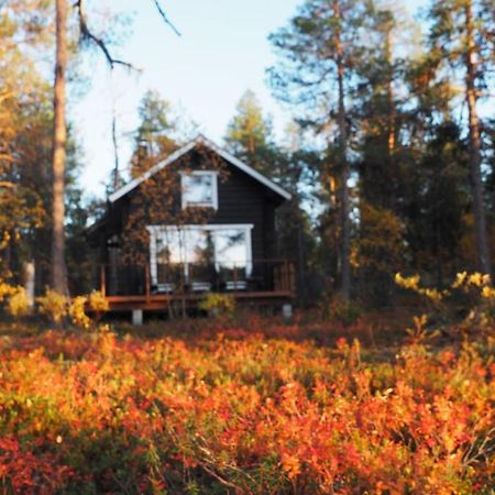 Lapintintti Eco-Cabin In אינארי מראה חיצוני תמונה