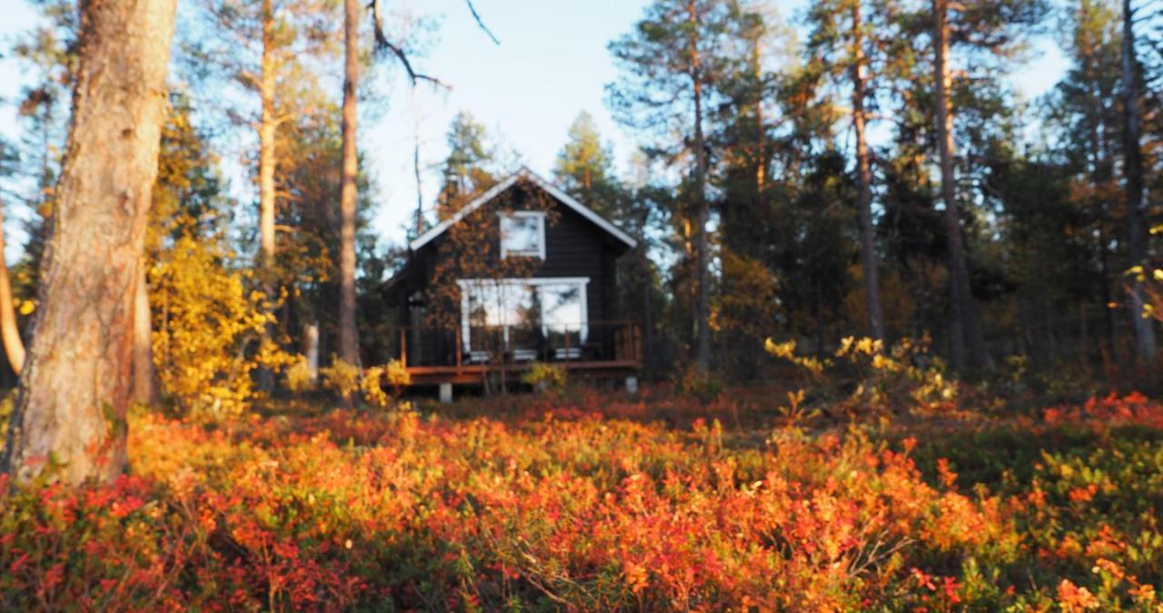 Lapintintti Eco-Cabin In אינארי מראה חיצוני תמונה